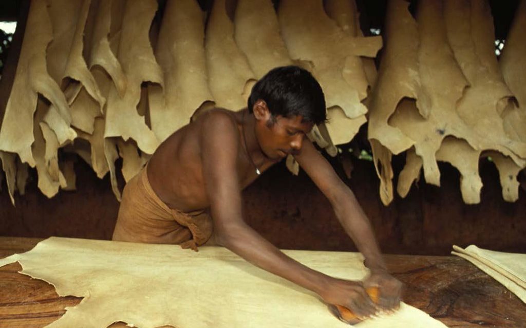 Working conditions in Tamil Nadu’s tanneries