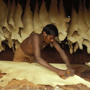 Working conditions in Tamil Nadu's tanneries