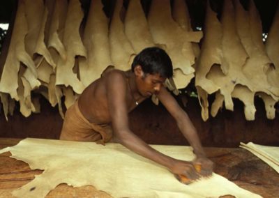 Tougher than leather: working conditions in Indian tanneries