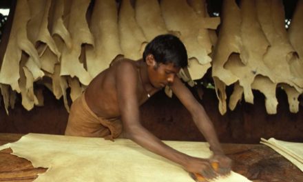 Working conditions in Tamil Nadu’s tanneries