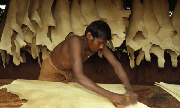 Tougher than leather: working conditions in Indian tanneries