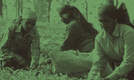 A new living wage benchmark for tea workers